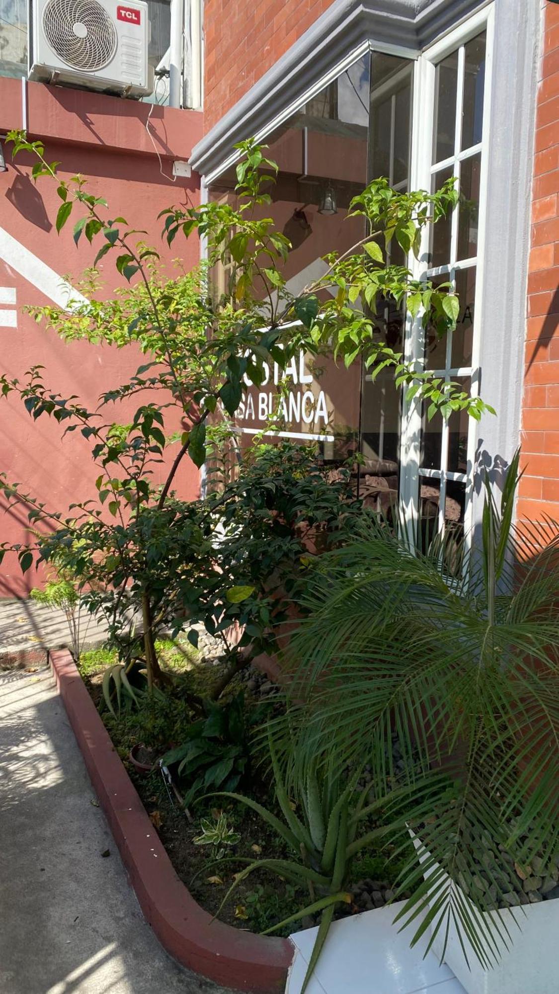 Hostal Casa Blanca Пуерто-Франсіско-де-Орельяна Екстер'єр фото