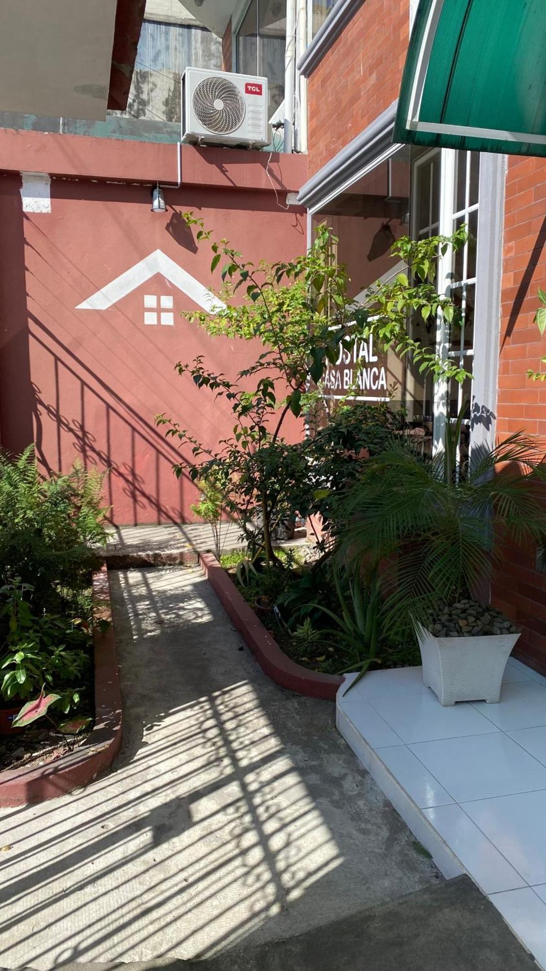 Hostal Casa Blanca Пуерто-Франсіско-де-Орельяна Екстер'єр фото